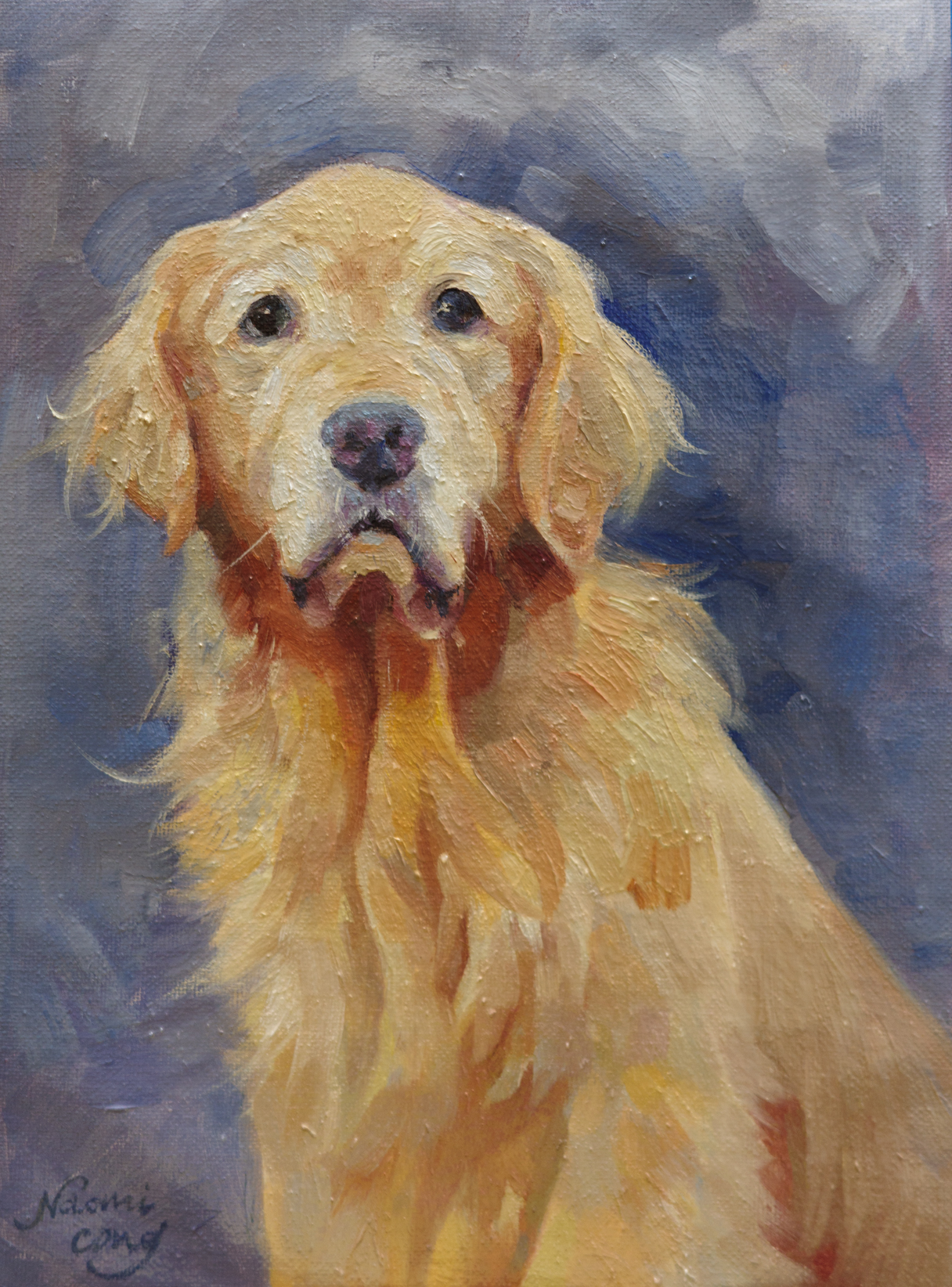 Pet Portrait Sample - Golden Retriever