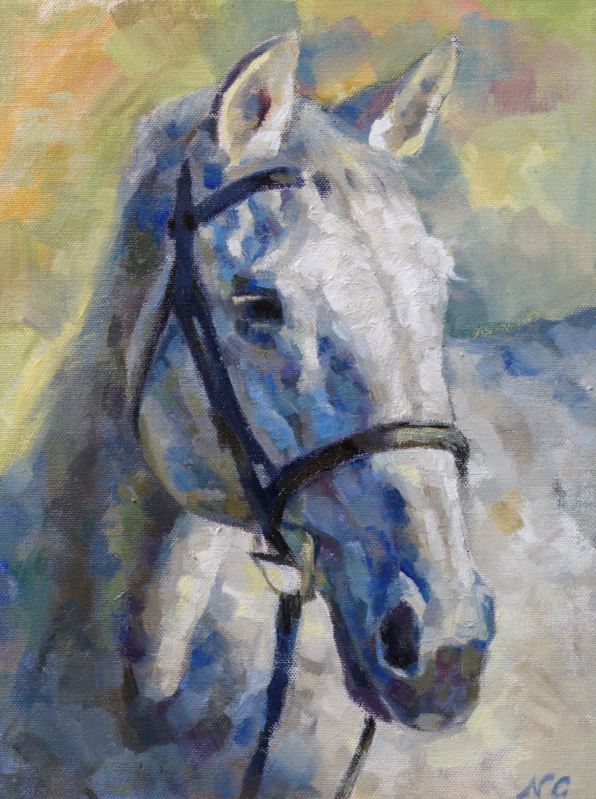 Pet Portrait Sample - Horse